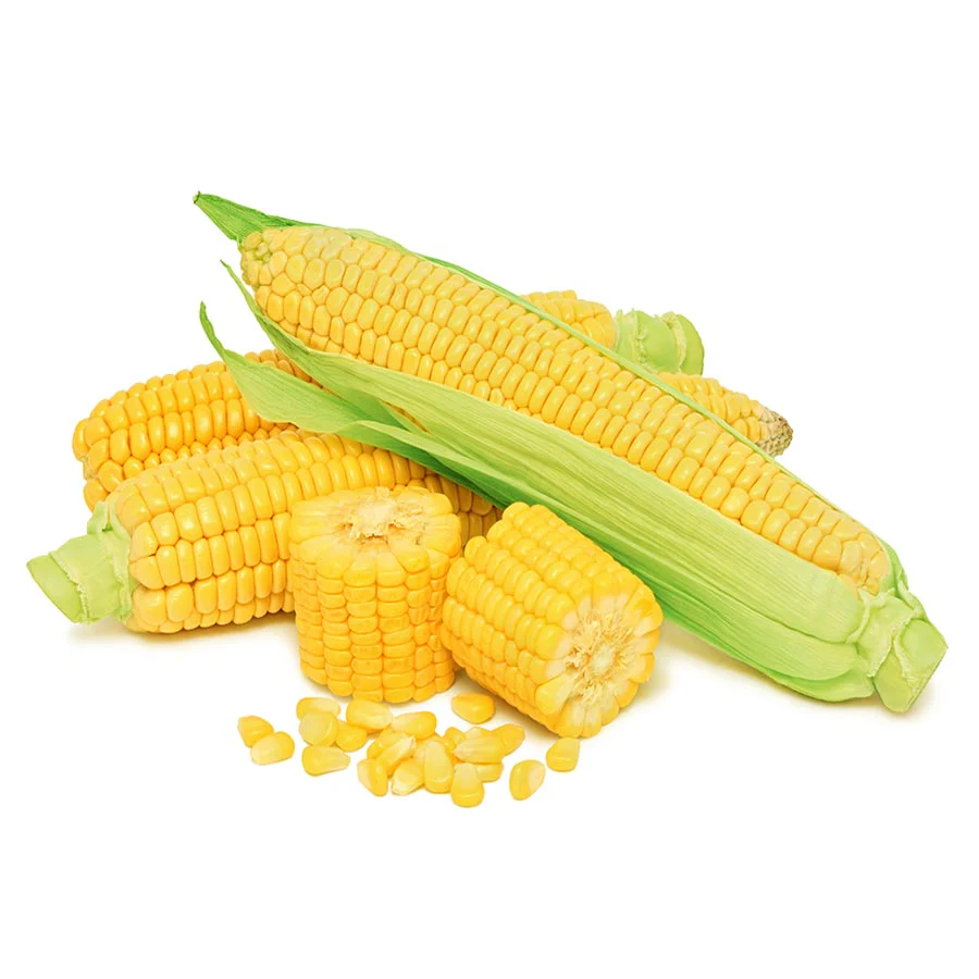 12 Pack Fruit & Vegetable Kit - Image 6