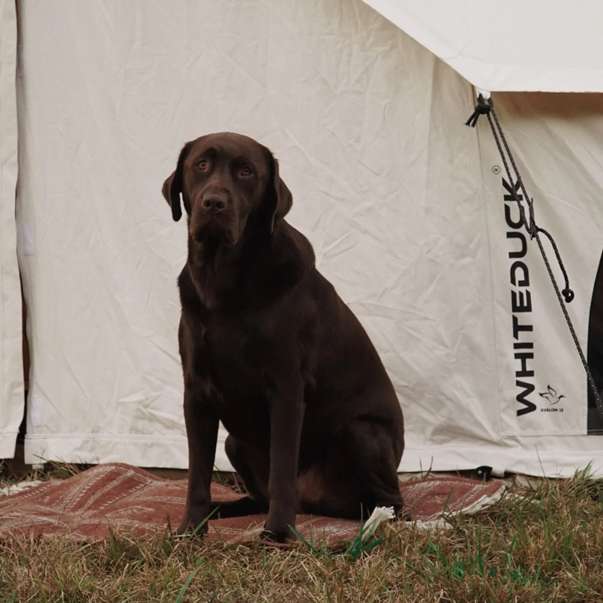 13' Avalon Bell Tent - Image 15