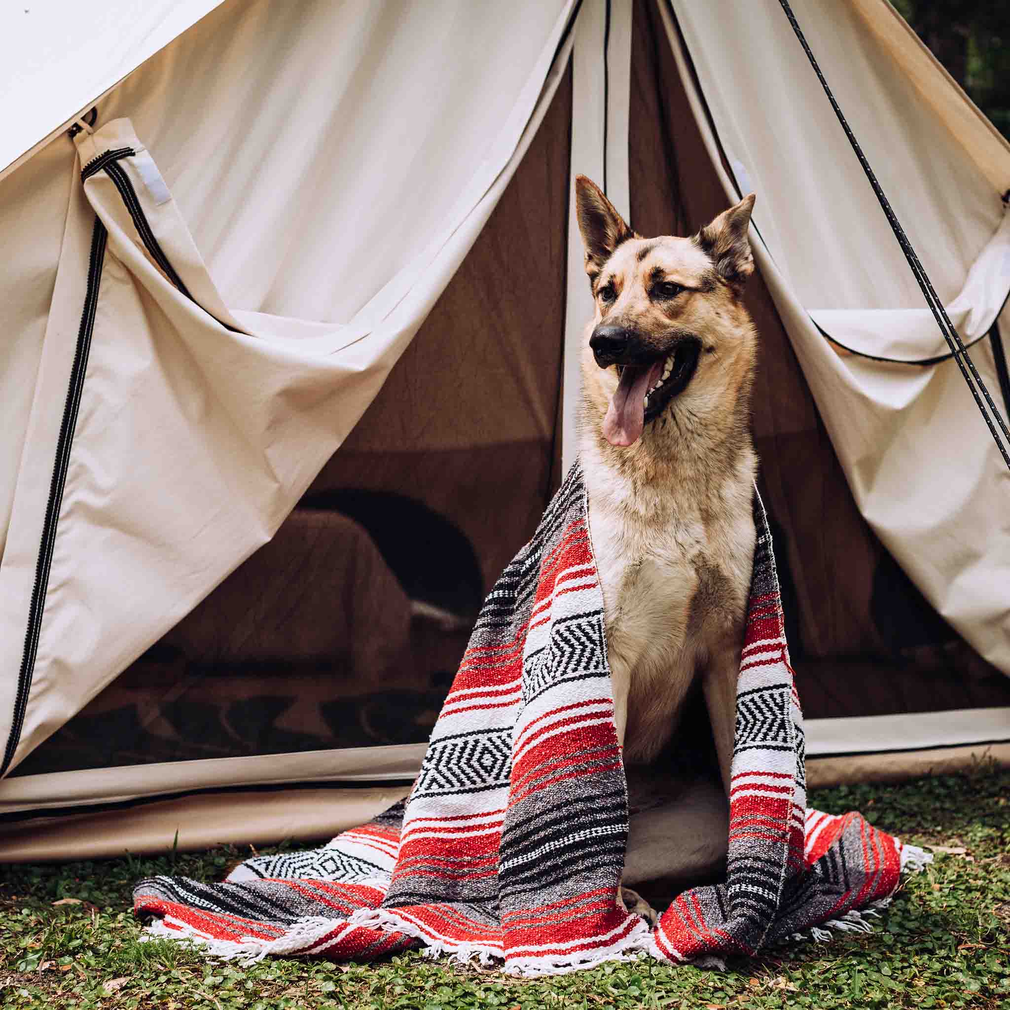 13' Avalon Bell Tent - Image 8