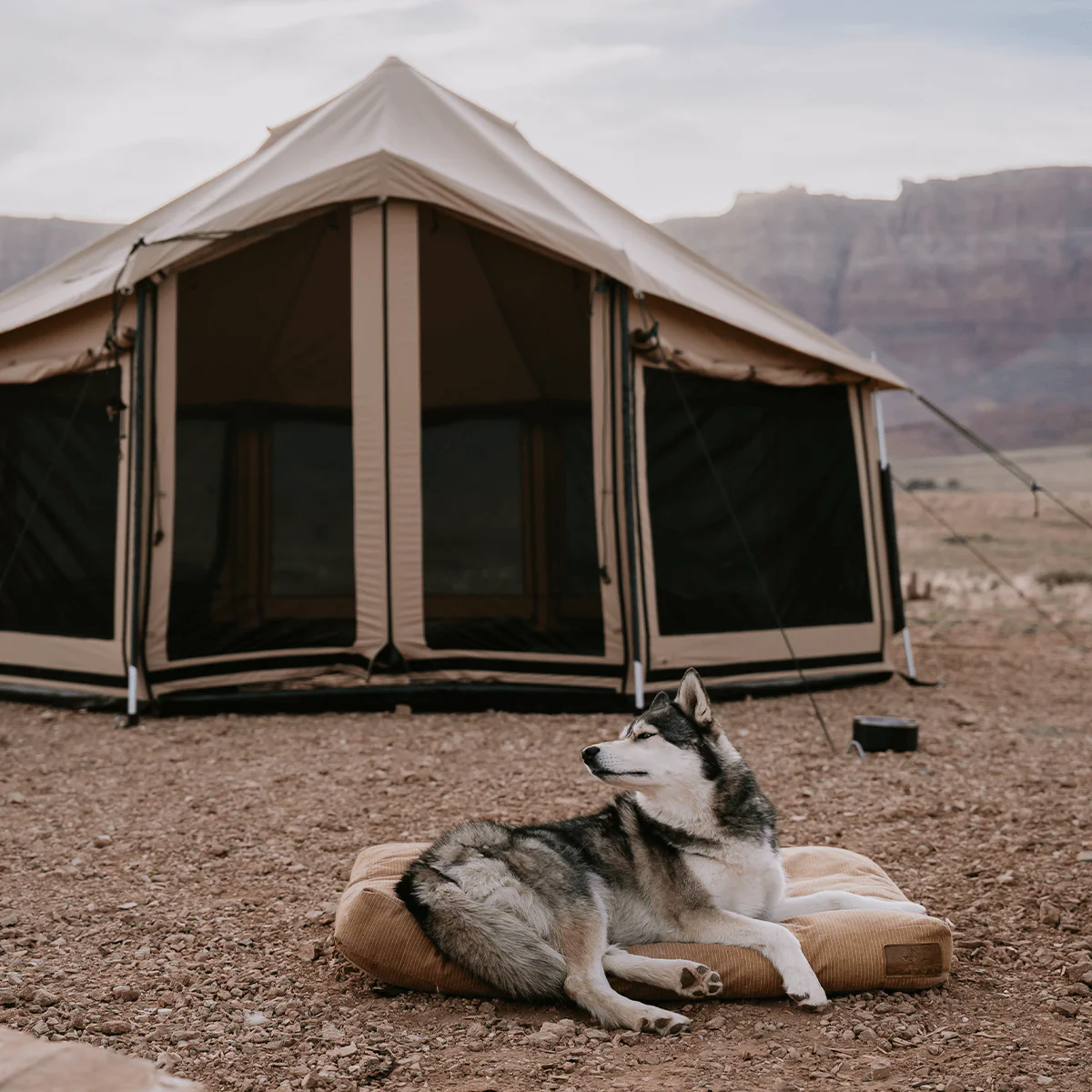 Altimus Bell Tent - Image 9