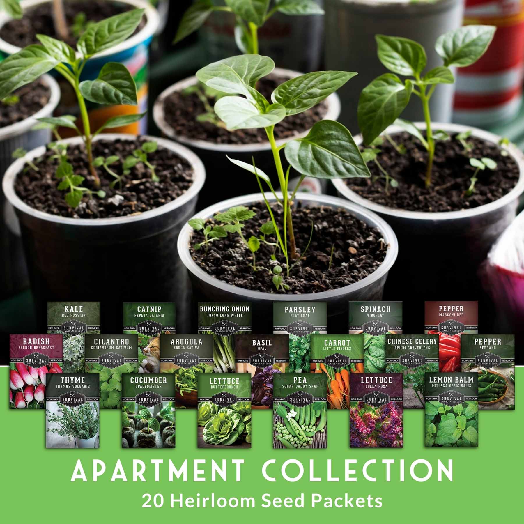 Apartment Kit Seed Vault - 20 Container Friendly Varieties - Image 2