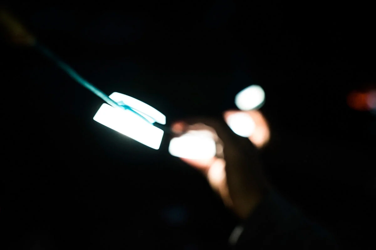 BioLite SiteLight String - Image 8