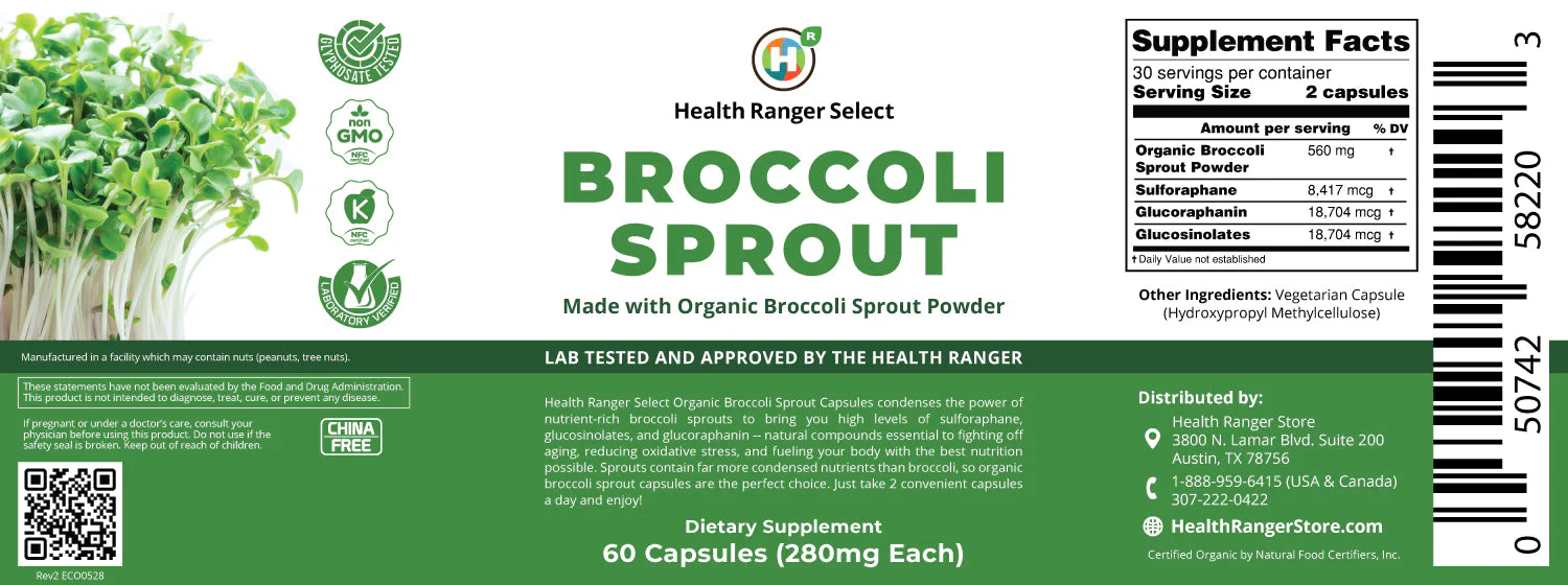 Broccoli Sprouts - 60 capsules - with Organic Broccoli Sprout Powder - Image 2