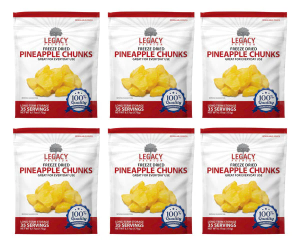 Bulk Freeze Dried Pineapple Chunks - Image 4