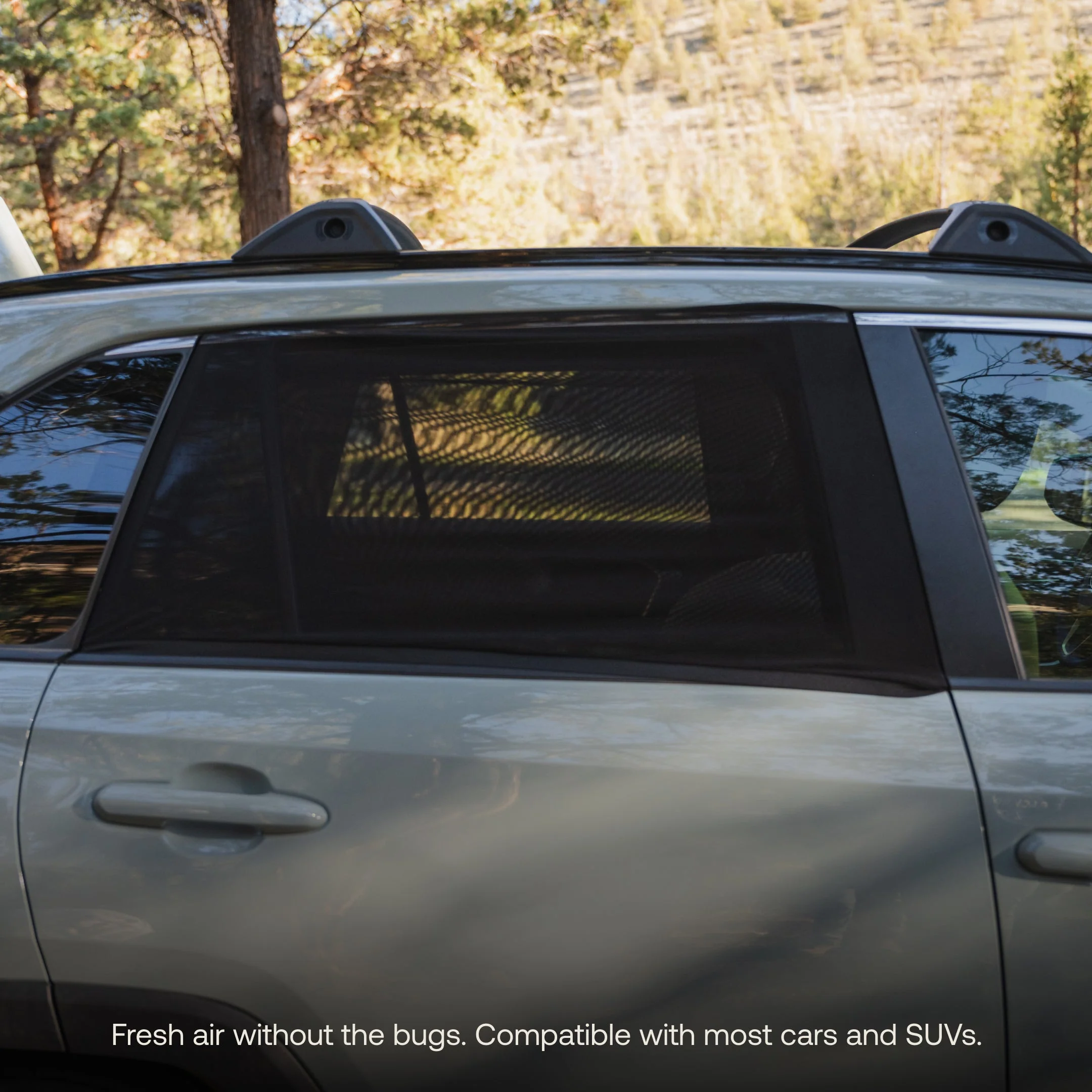 Car Window Screens - Image 2