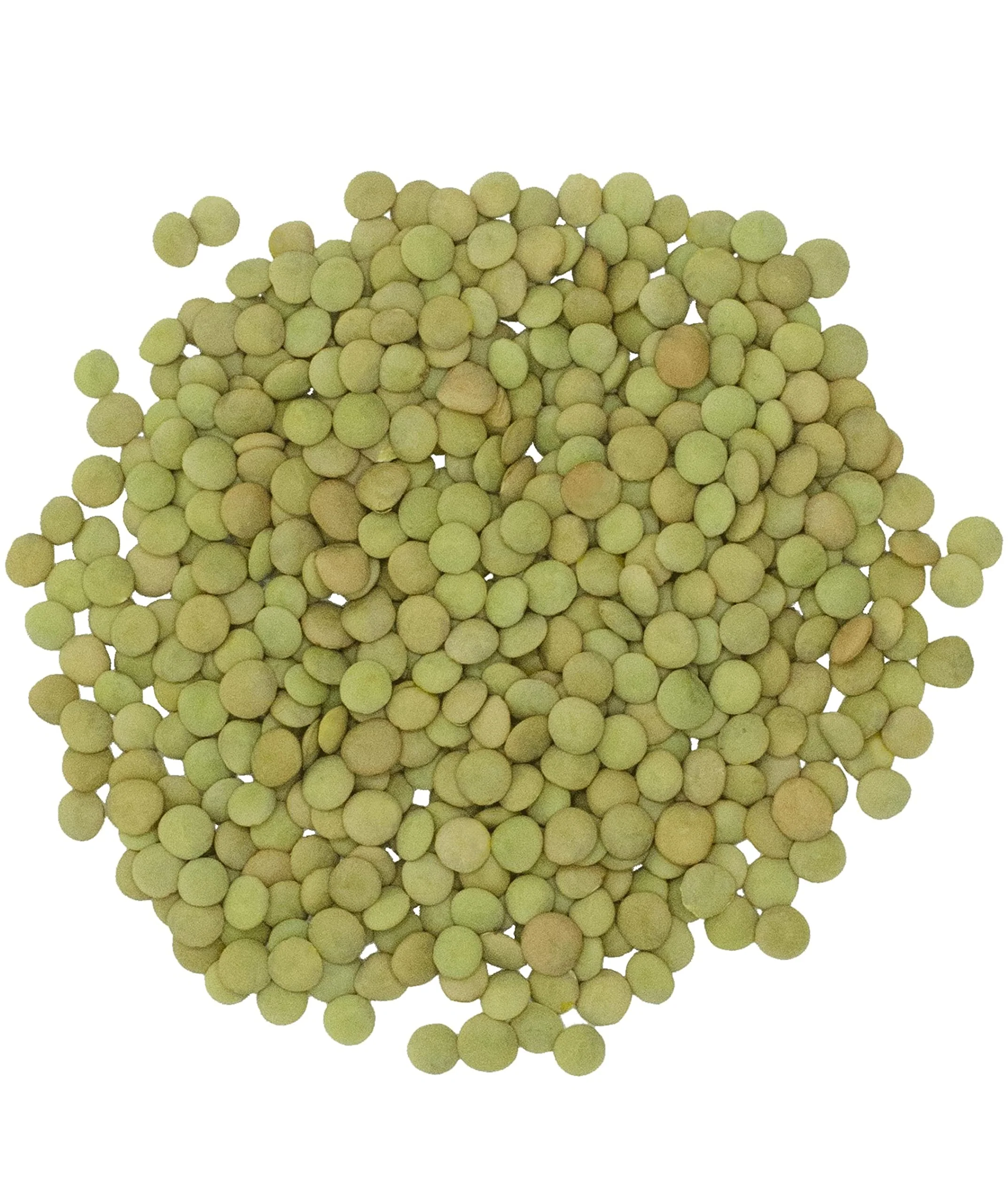ClearCreek - Green Lentils - 25 LB Bucket - Image 2