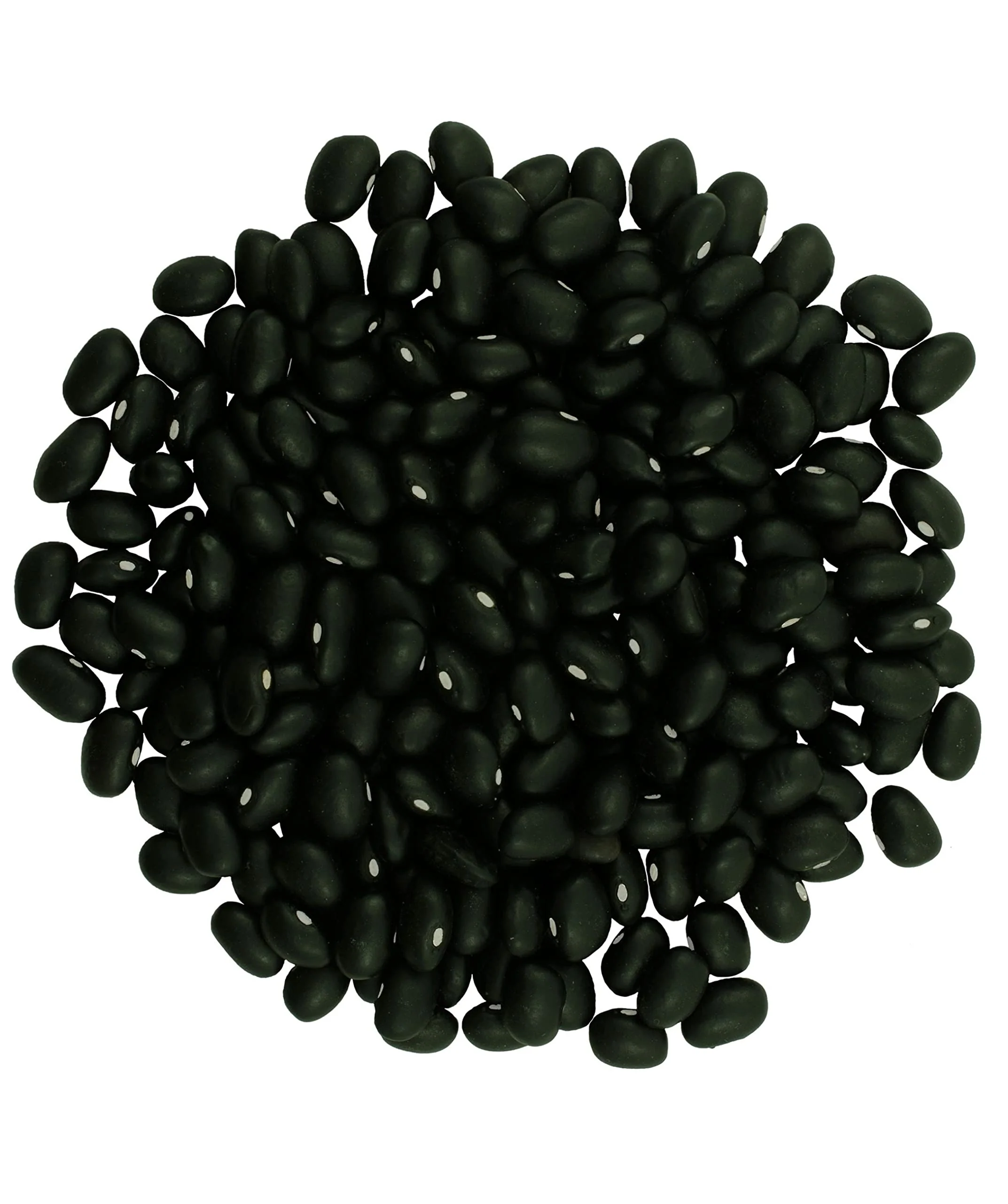 ClearCreek - Black Beans - 25 LB Bucket - Image 2