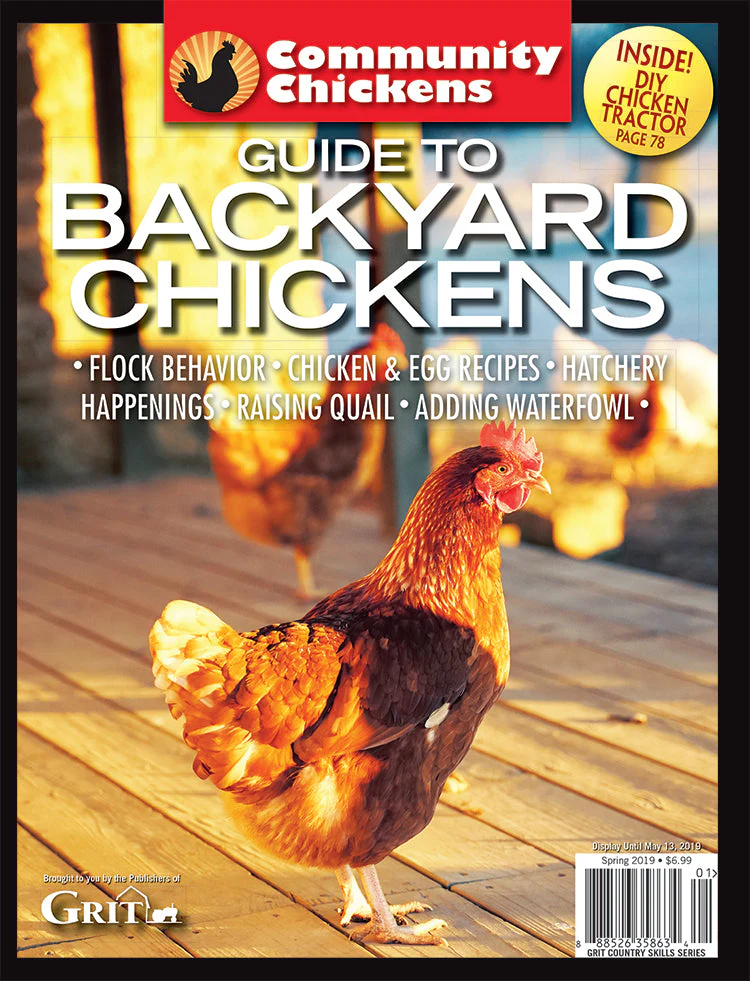 Community Chickens Guide To Backyard Chickens Set - Image 2