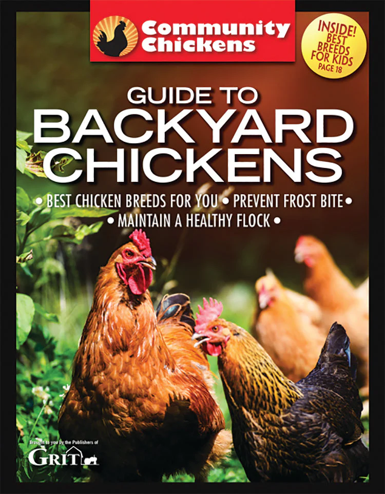Community Chickens Guide To Backyard Chickens Set - Image 3