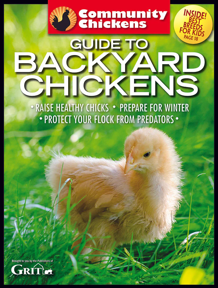 Community Chickens Guide To Backyard Chickens Set - Image 4