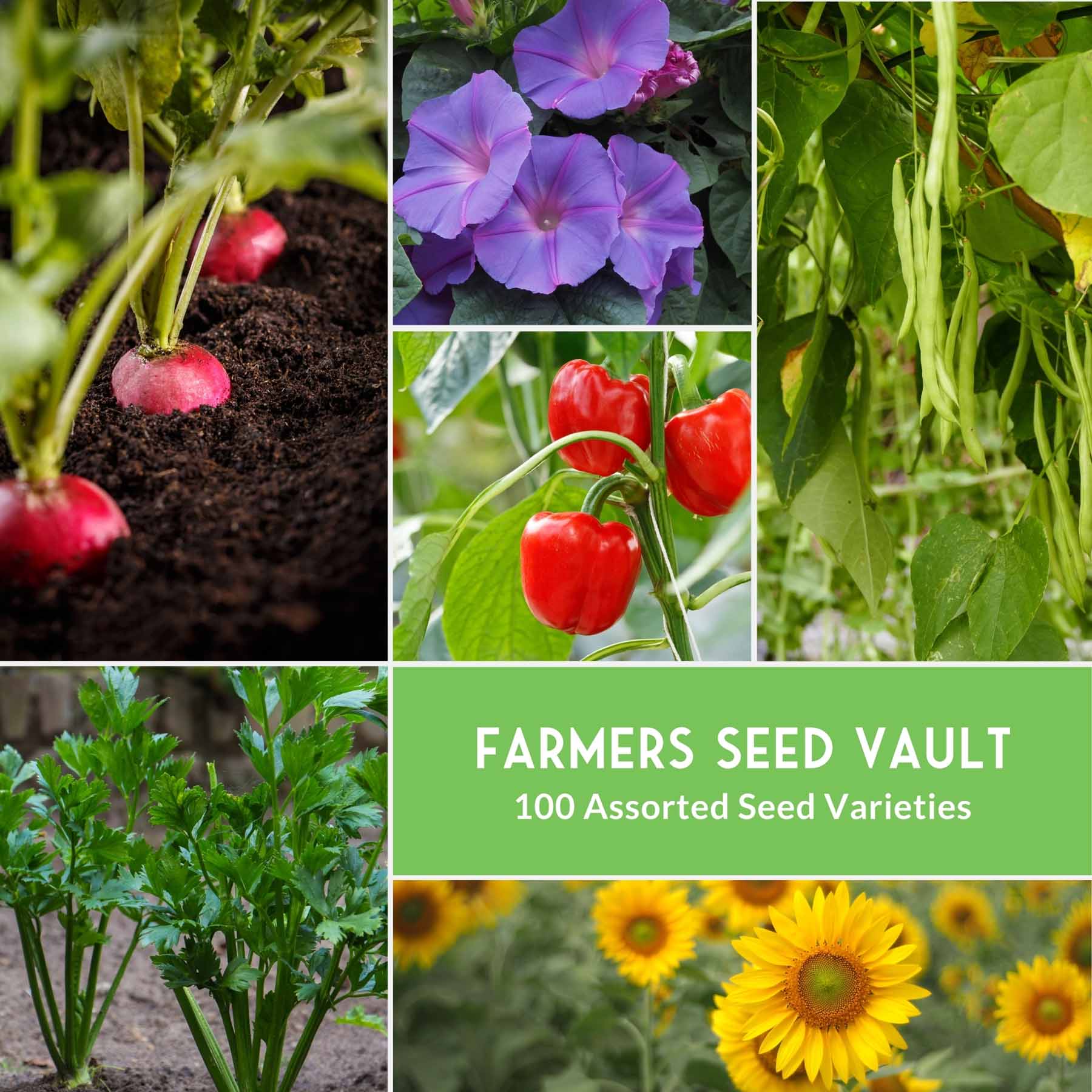 Complete Survival Garden Kit – 100 Seeds to Grow Food for Your Family - Image 5