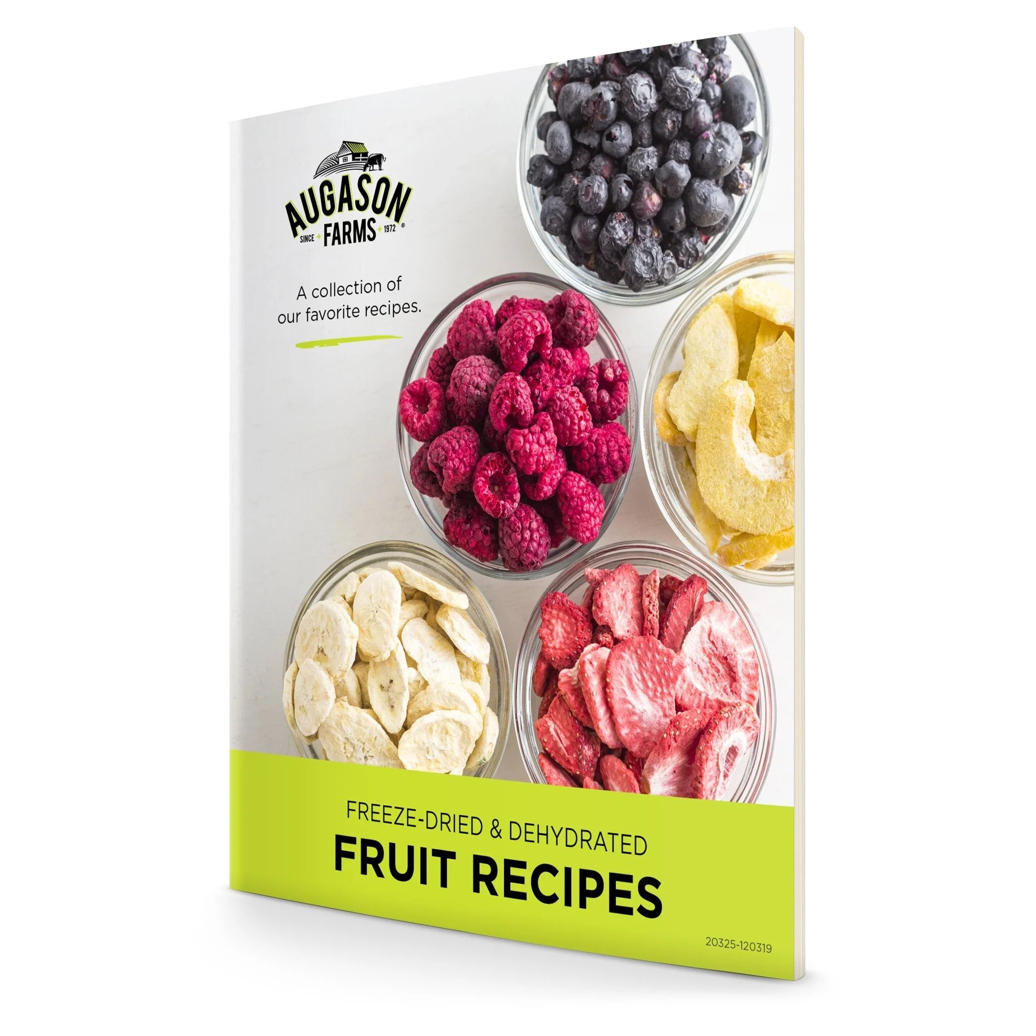 Dehydrated & Freeze Dried Fruit Variety Pail, 86 Servings - Image 4