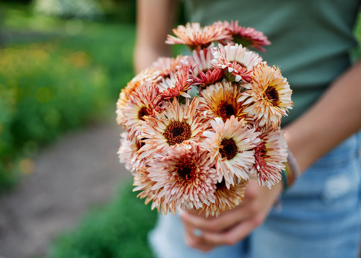 Edible Petals - Seed Collection - Image 9