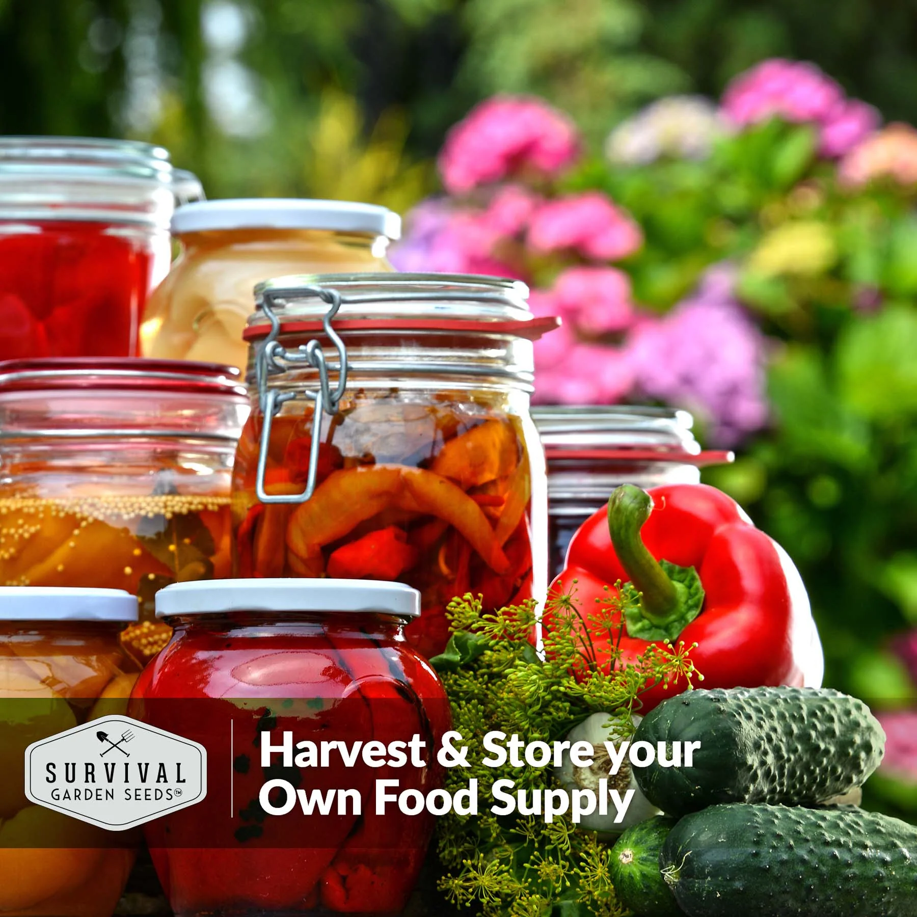 Family Home Garden Kit - 30 Easy to Grow Seeds for a Victory Garden - Image 9