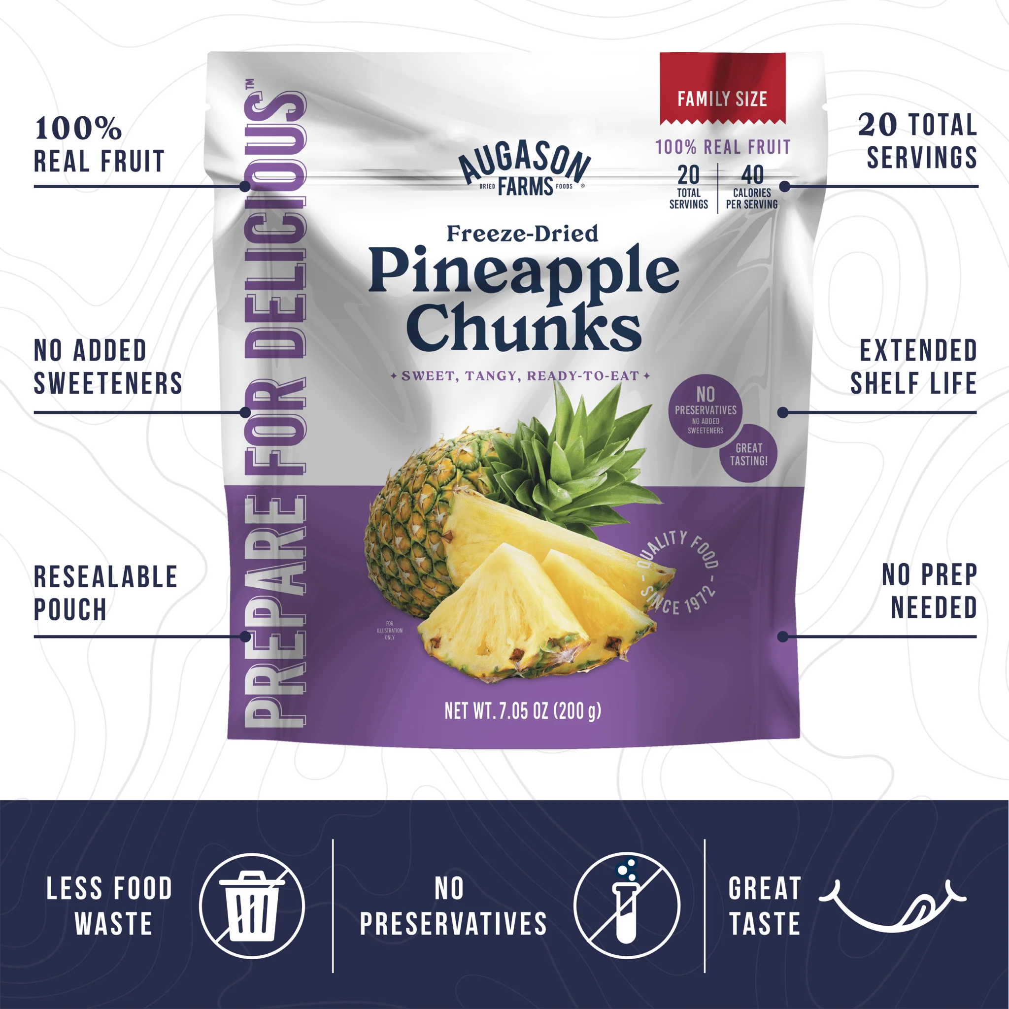 Freeze Dried Pineapple Pieces Family Size Pouch, 20 Servings - Image 3