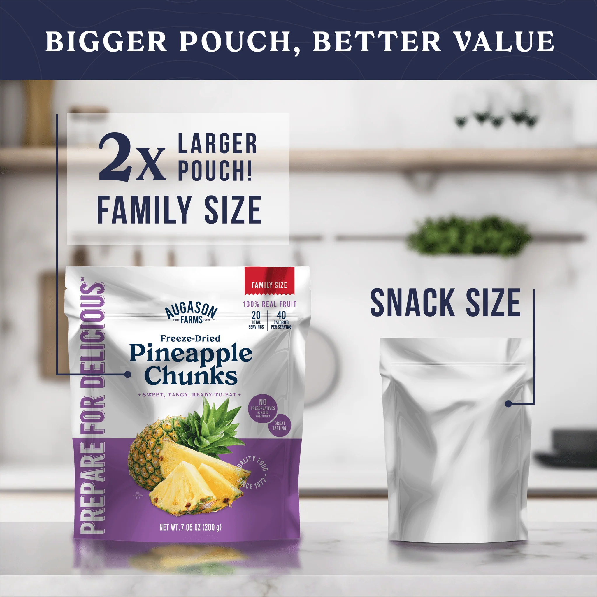 Freeze Dried Pineapple Pieces Family Size Pouch, 20 Servings - Image 5