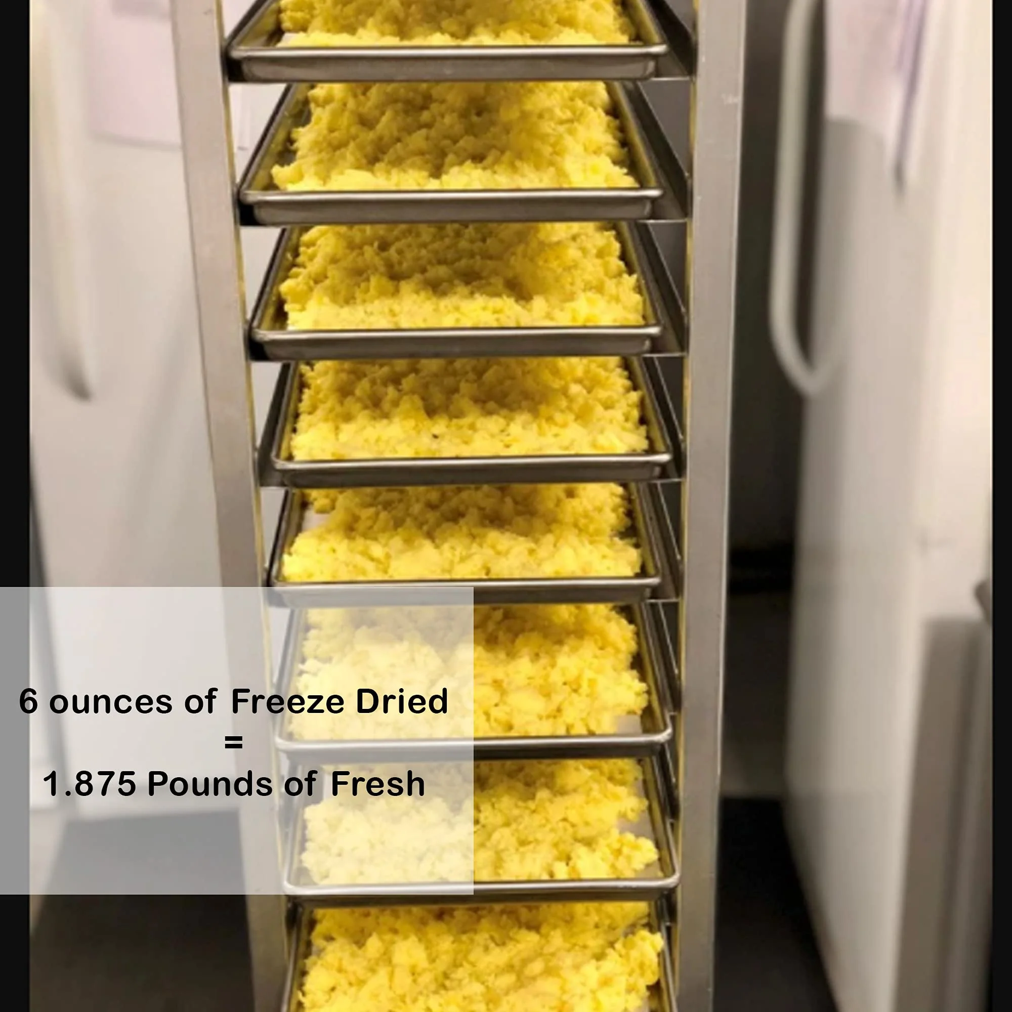 Freeze Dry Wholesalers Freeze-Dried Scrambled Eggs Backpacking and Breakfast Camping Food - Emergency Food - Family Size - Fully Cooked - Image 2
