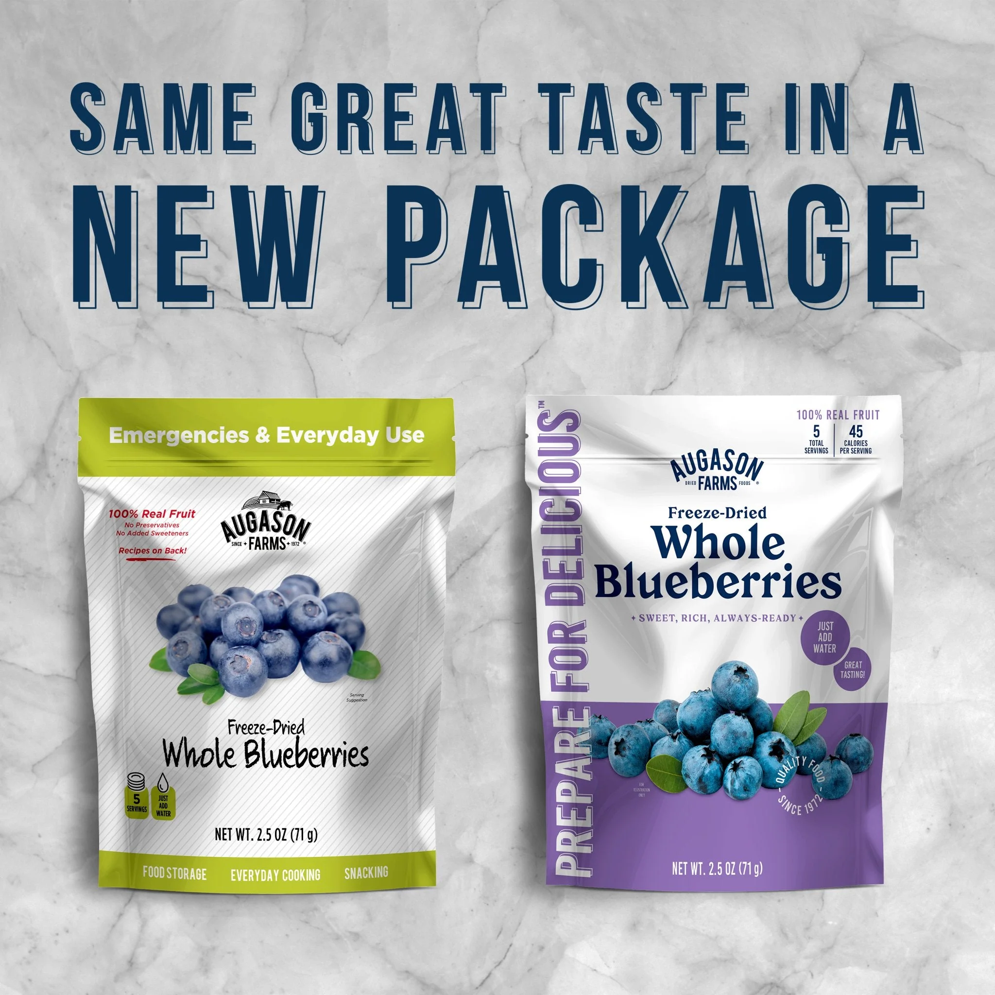 Freeze Dried Whole Blueberries Pouch, 5 Servings - Image 4