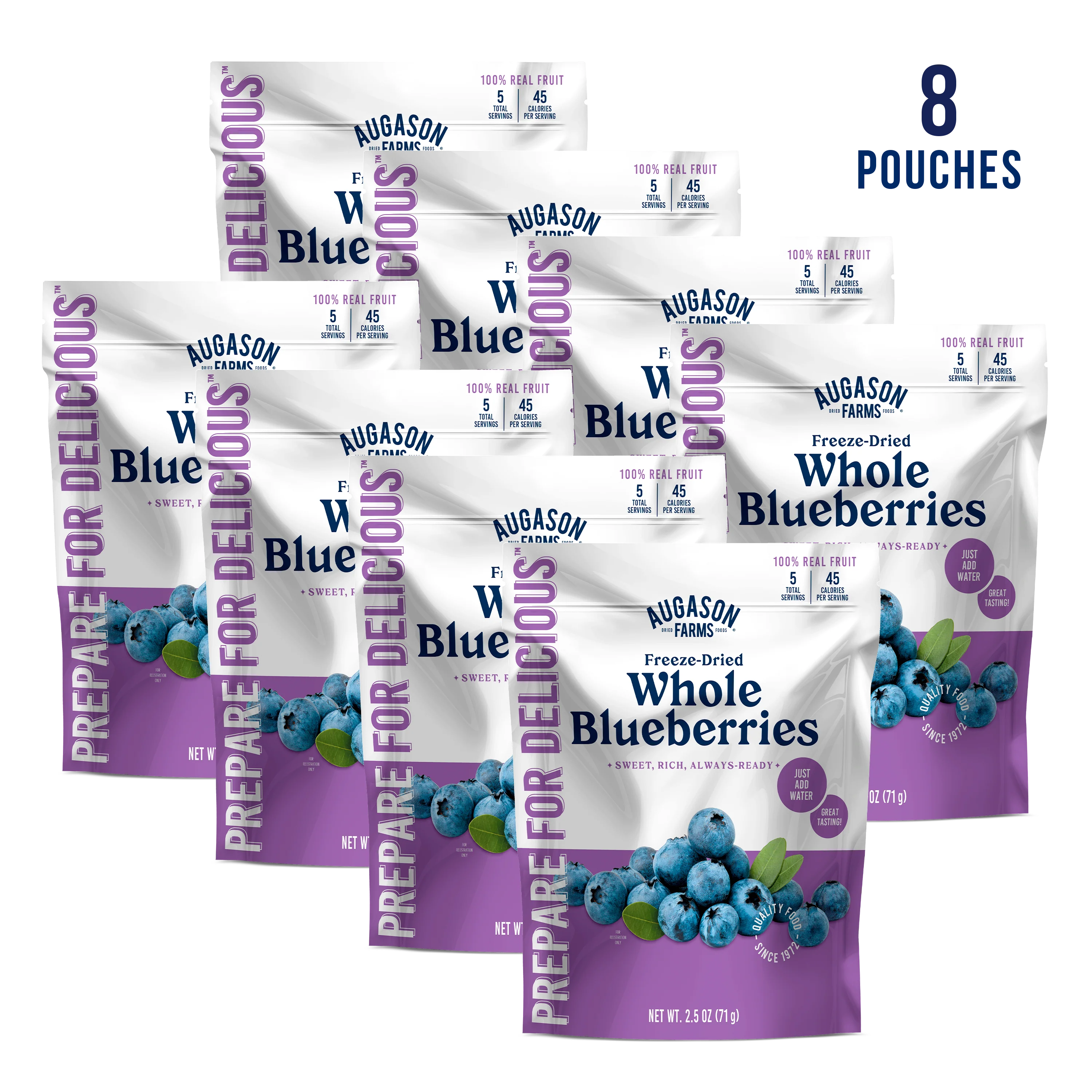 Freeze Dried Whole Blueberries Pouch, 5 Servings - Image 6