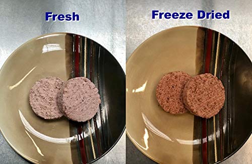 Freeze Dry Wholesalers Freeze-Dried Vegan Beyond Burgers - 6 Patties per Package - Image 6