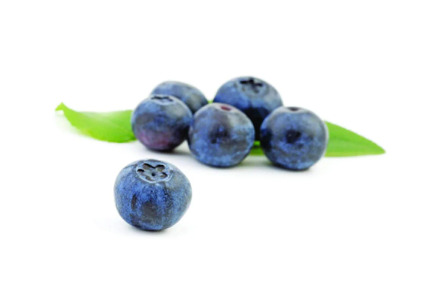 Fresh and Honest Foods 100% All Natural Freeze-Dried Blueberries 11.1 OZ #10 Can - Image 3