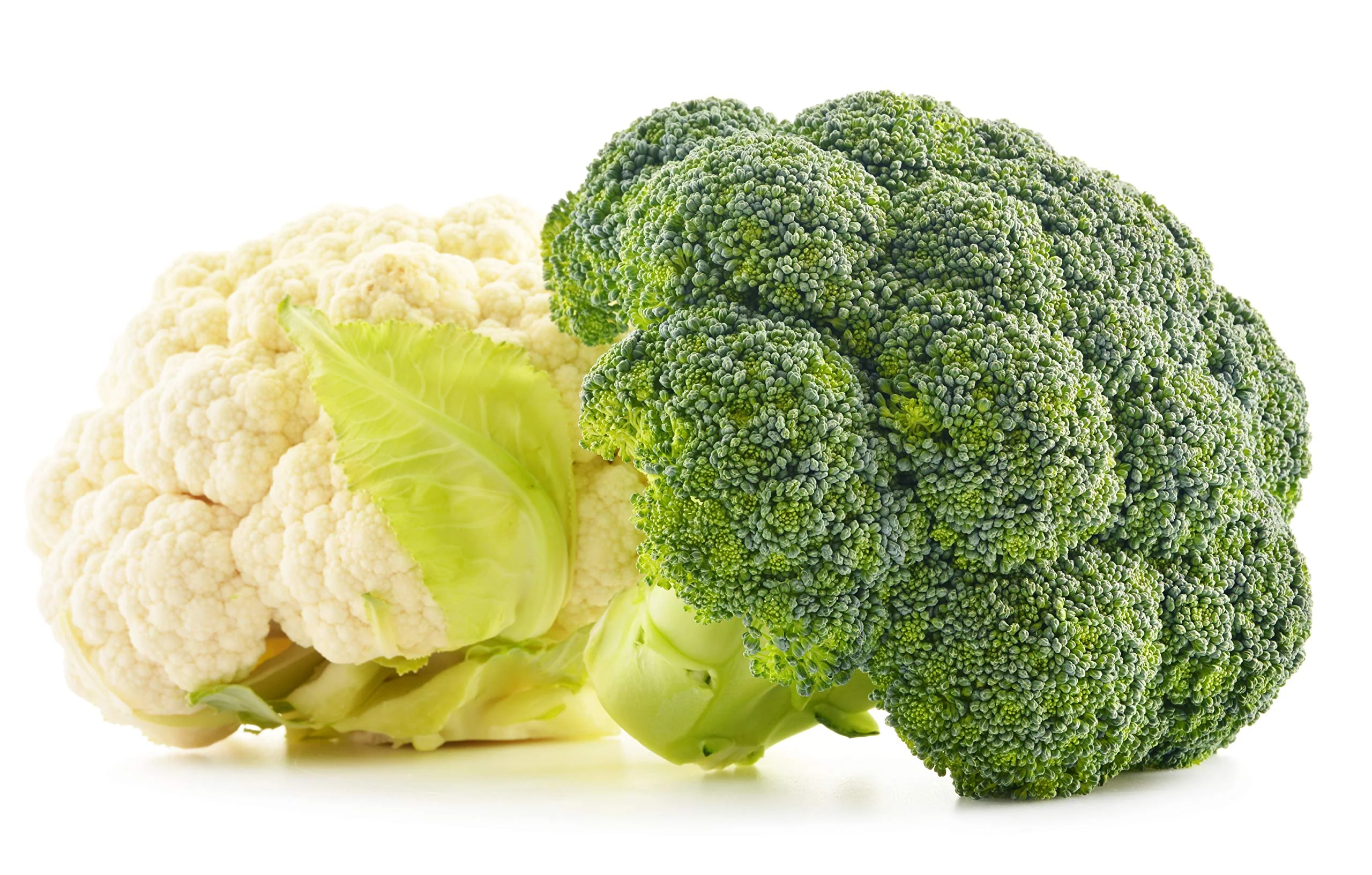 Fresh and Honest Foods Freeze-Dried Mixed Vegetables 100% All Natural (Broccoli and Cauliflower) 6.0 OZ #10 Can - Image 3