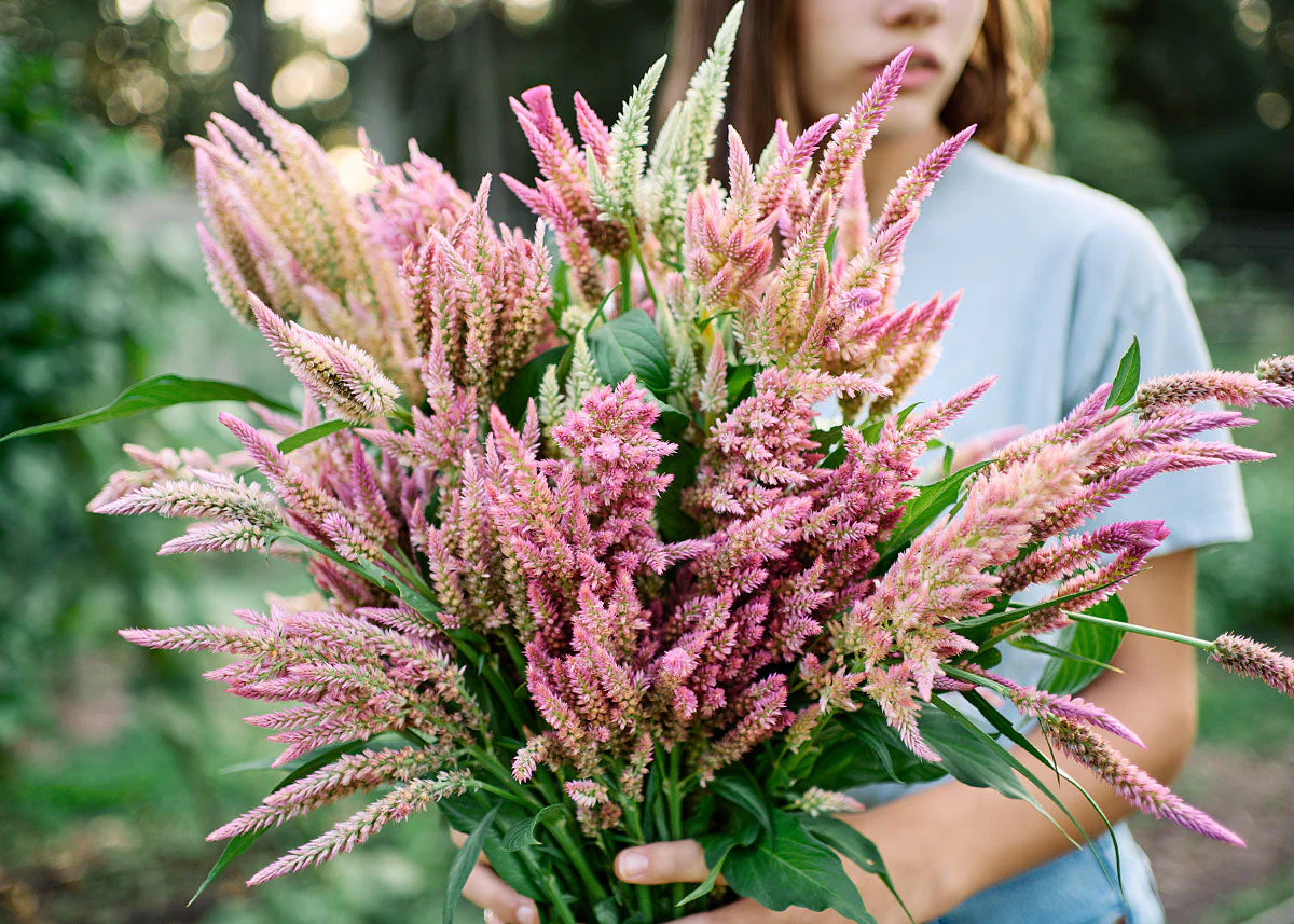 Freshly Cut Blooms - Seed Collection - Image 10