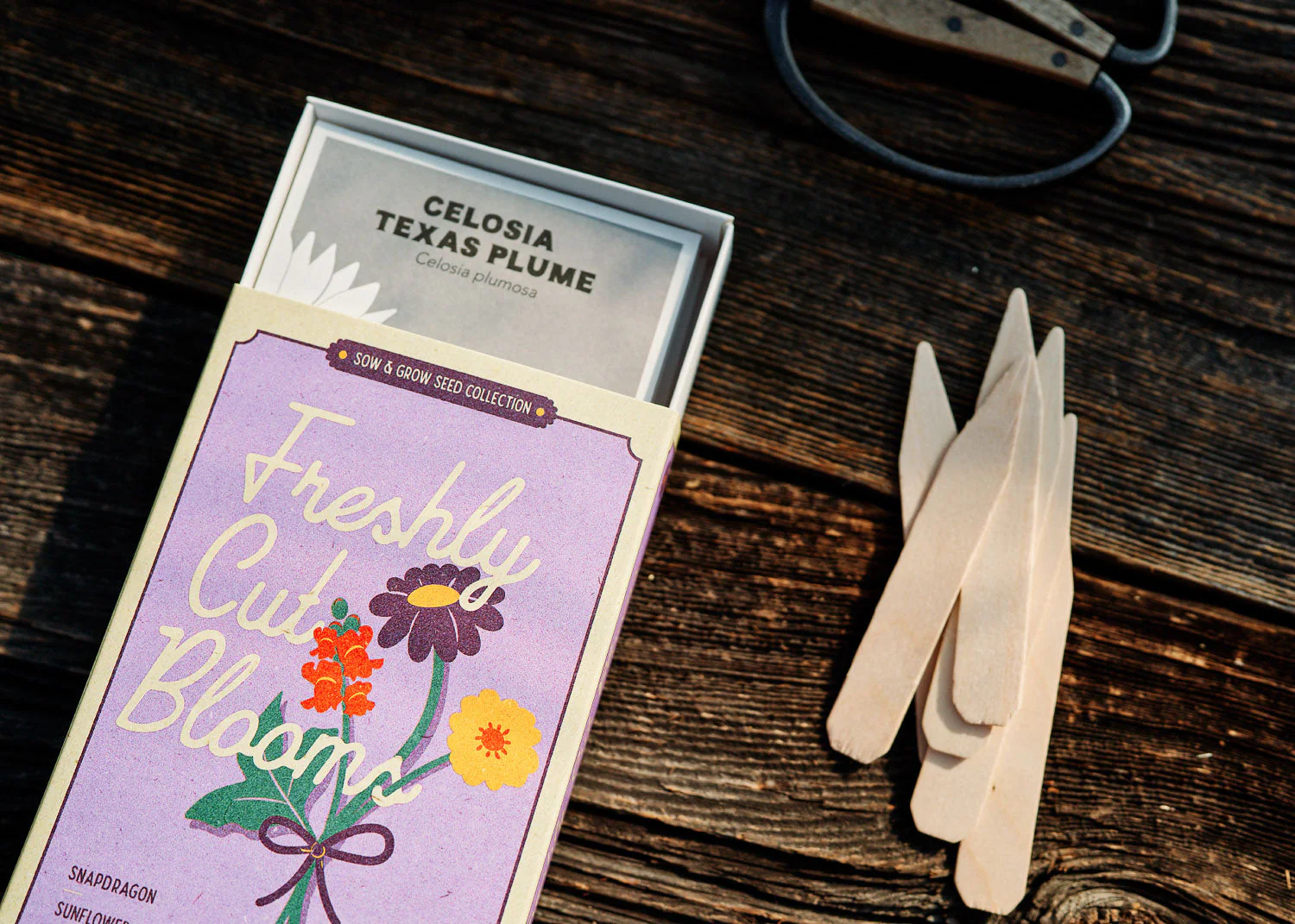 Freshly Cut Blooms - Seed Collection - Image 2