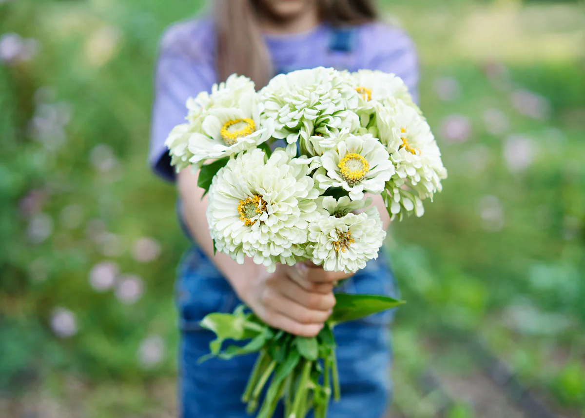 Freshly Cut Blooms - Seed Collection - Image 6