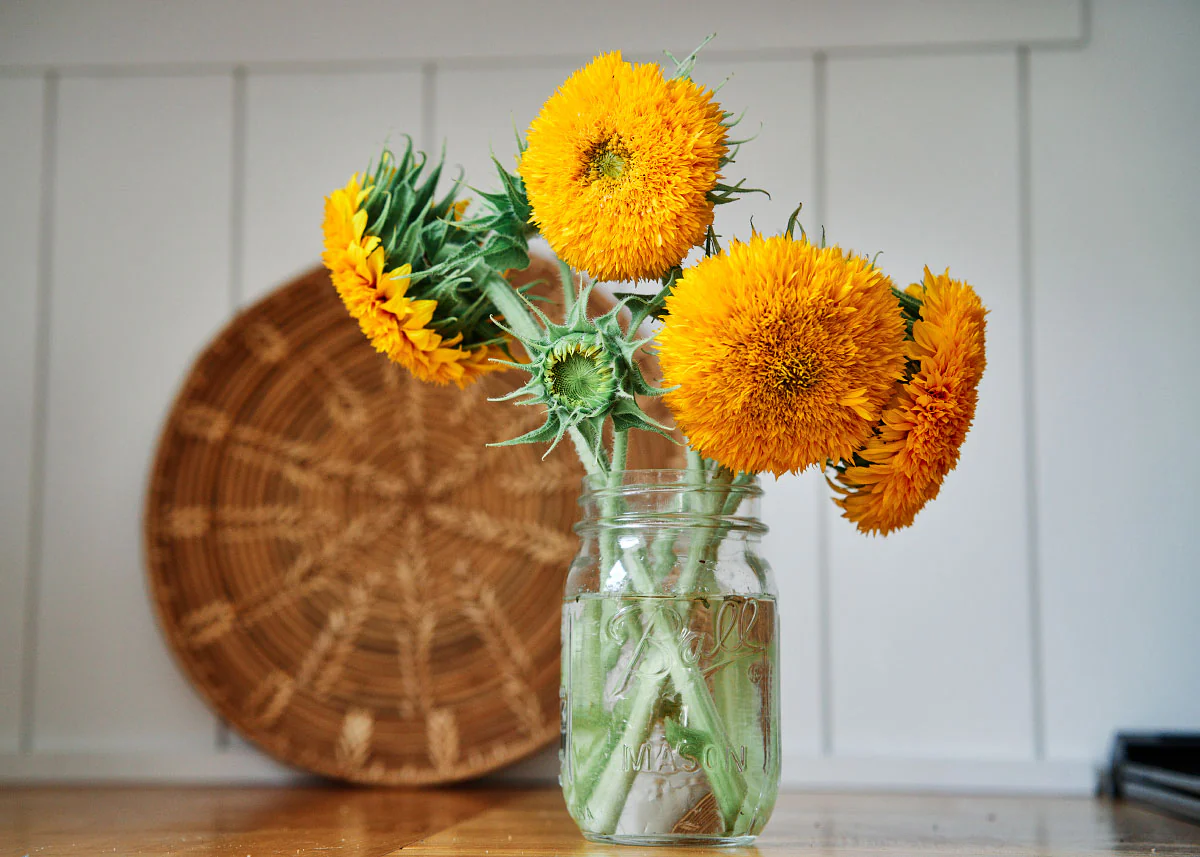 Freshly Cut Blooms - Seed Collection - Image 7