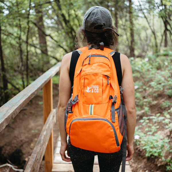 Pocket Backpack - Image 13