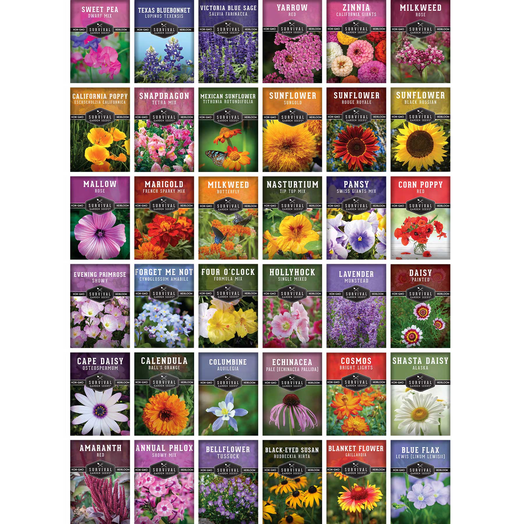 Functional Flower Garden Kit - 36 Seeds for Beauty, Bees & Wellness - Image 2