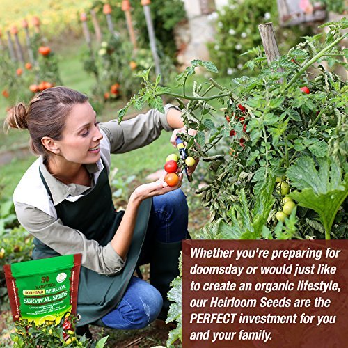Grow For It Brand Heirloom Vegetable Seeds, Non-GMO Survival Seed Kit - 50 Varieties - Image 4