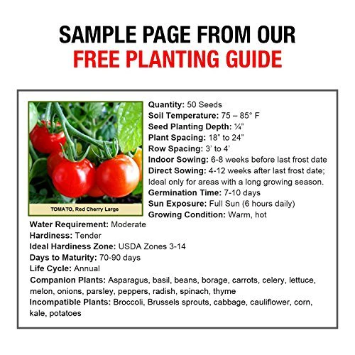 Grow For It Brand Heirloom Vegetable Seeds, Non-GMO Survival Seed Kit - 50 Varieties - Image 6