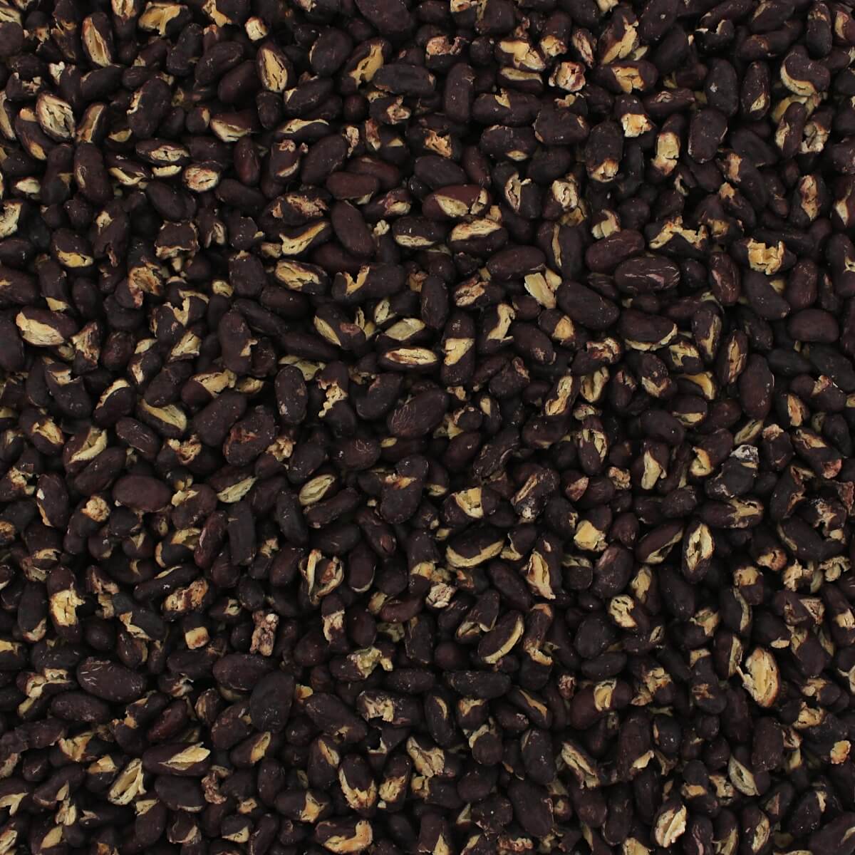 Harmony House Bean and Legume Family Pack (8 Varieties, Gallon Size) - Image 8