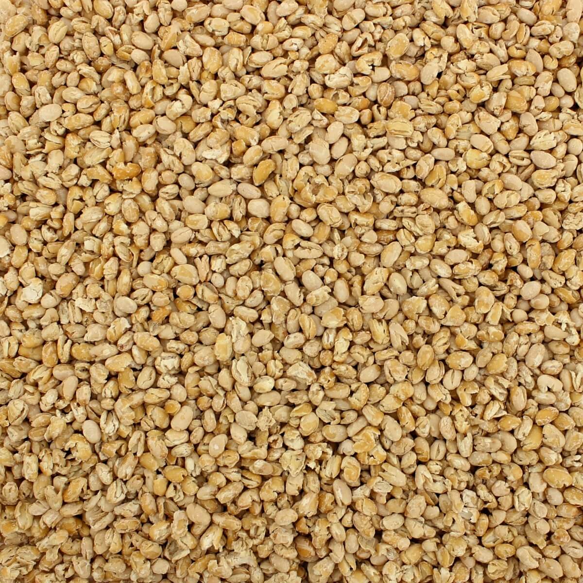 Harmony House Bean and Legume Pantry Stuffer (8 Varieties, Quart Size) - Image 4
