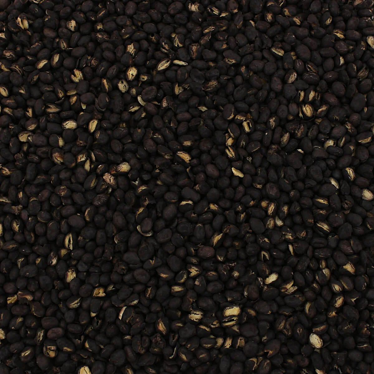 Harmony House Bean and Legume Sampler (8 Zip Pouches) - Image 11