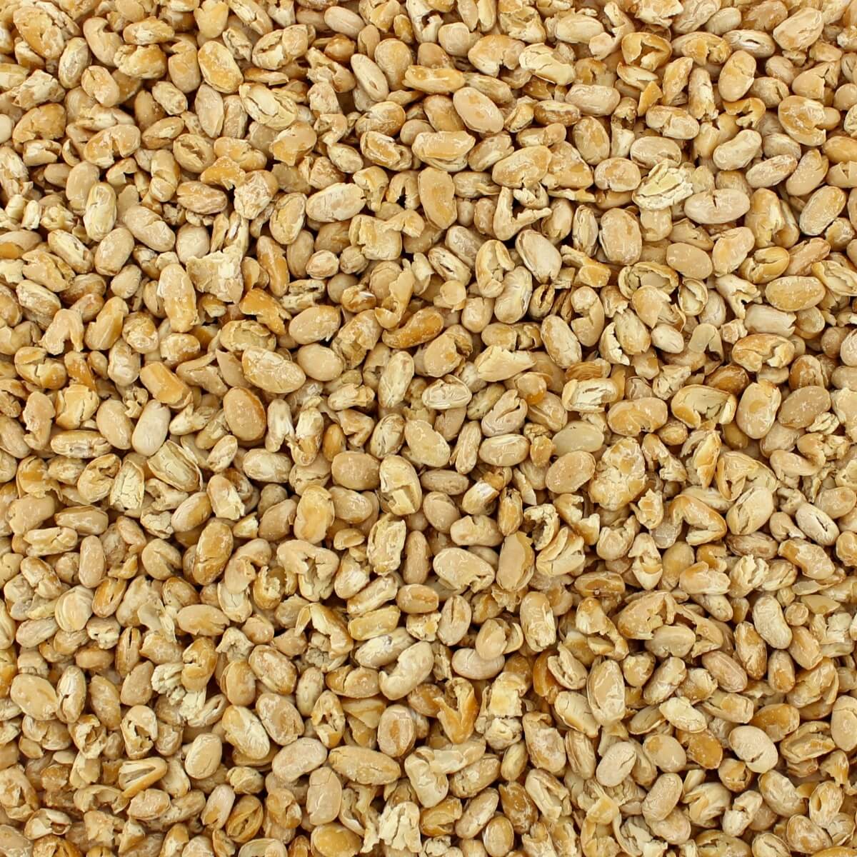 Harmony House Bean and Legume Sampler (8 Zip Pouches) - Image 5
