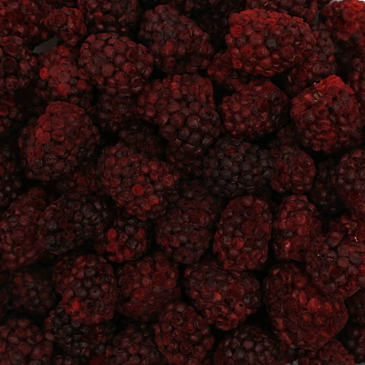 Harmony House Berry Medley (4 Jars, Quart Size) - Image 3