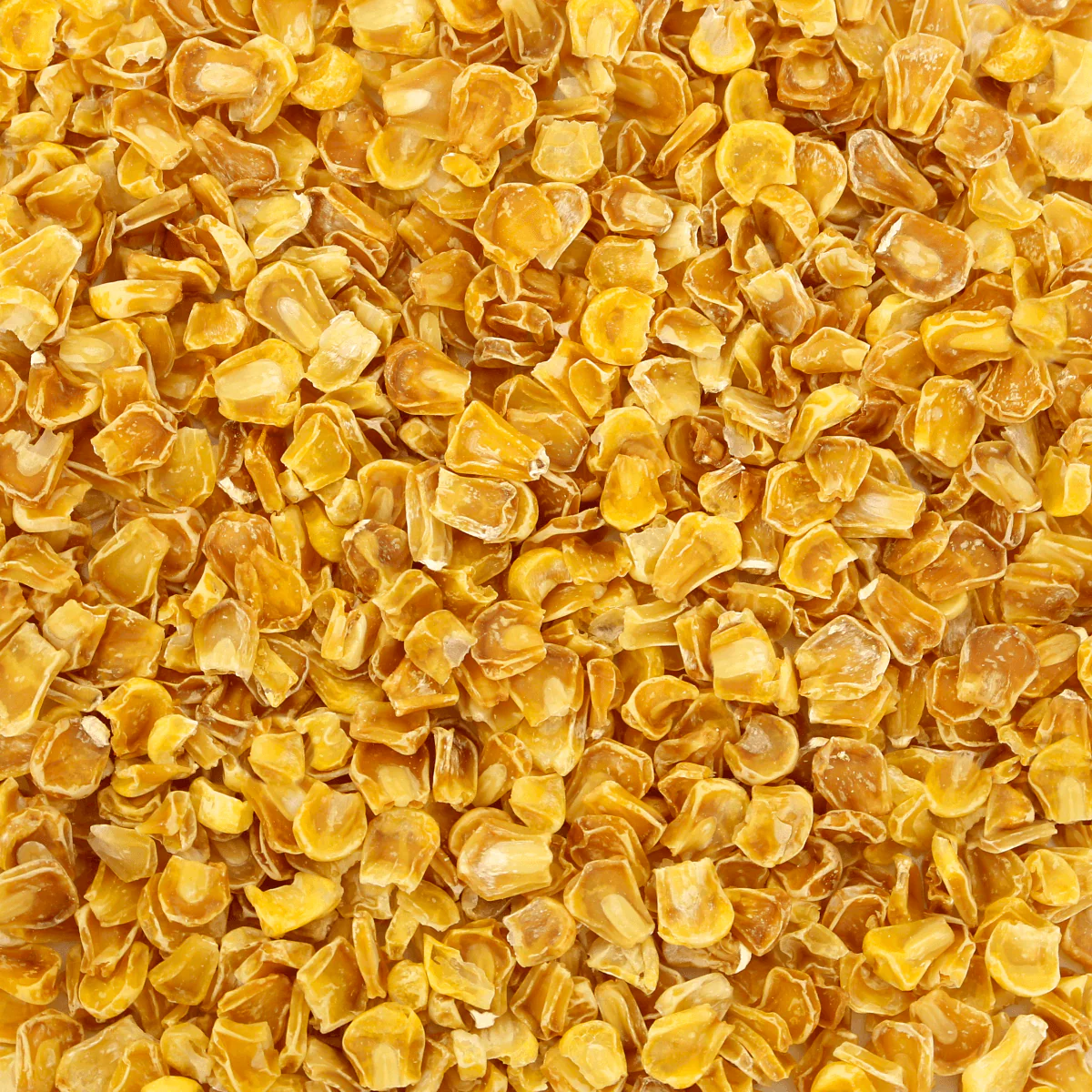 Harmony House Dried Corn (5 oz.) - Image 2