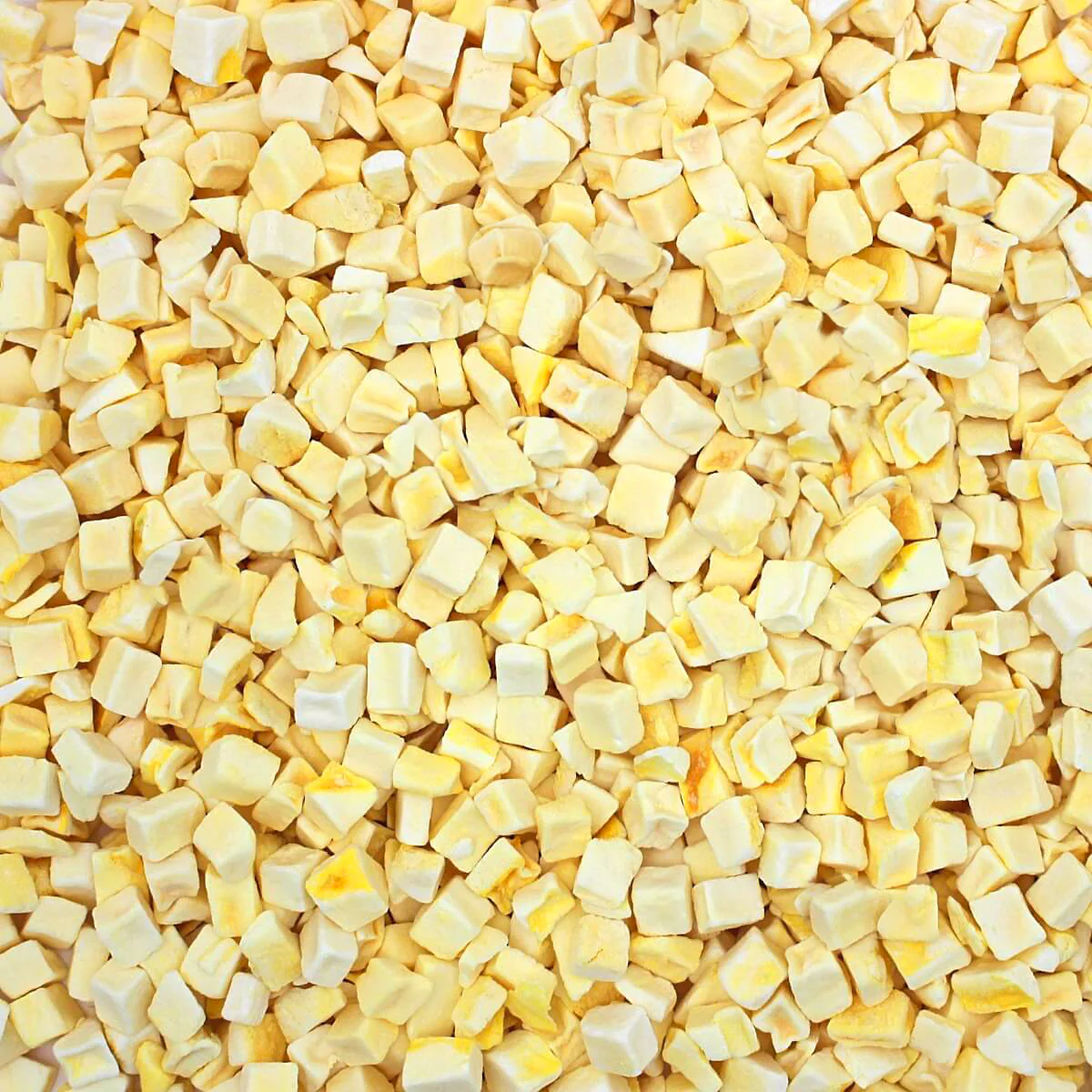 Harmony House Freeze Dried Mangoes (4 oz.) - Image 2