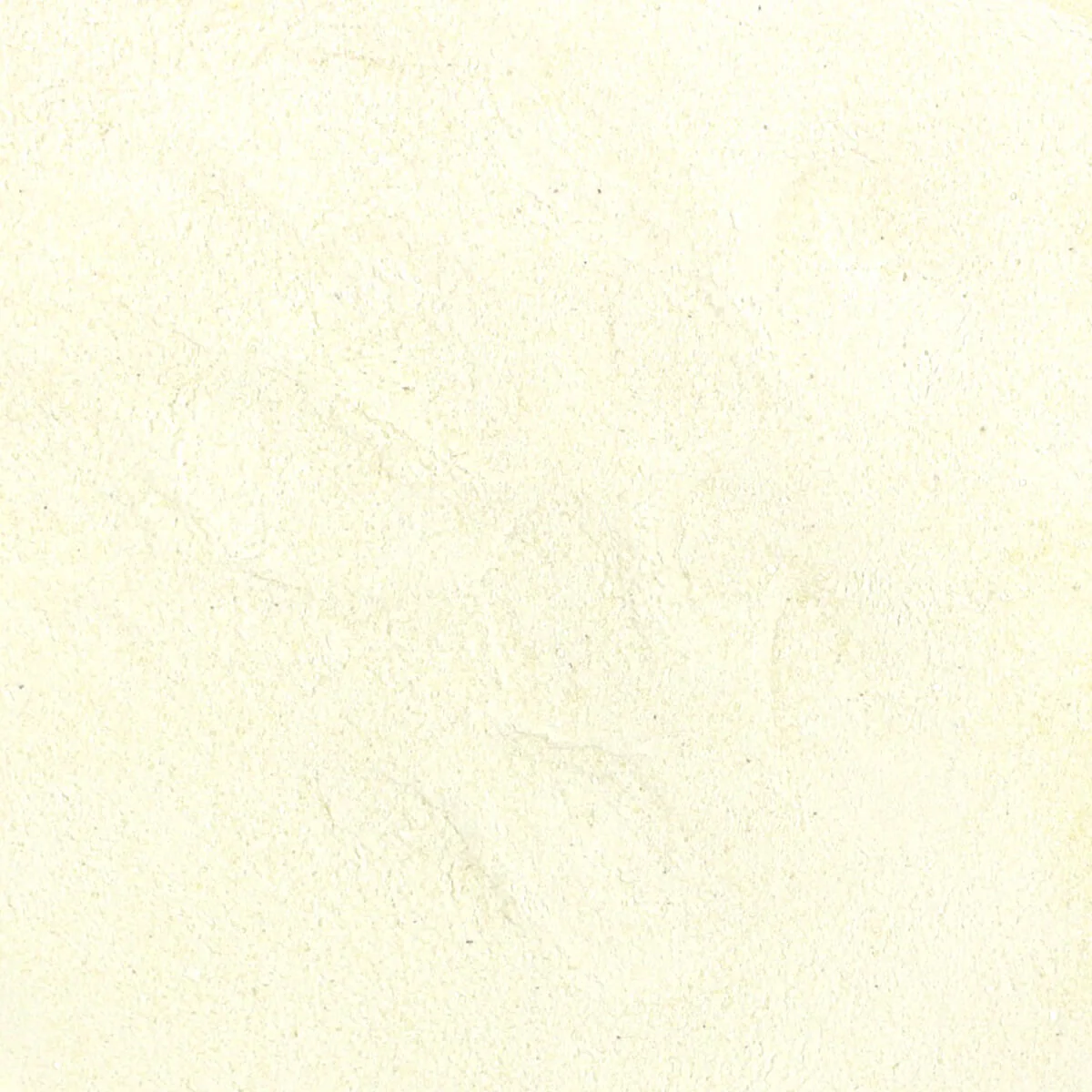 Harmony House Freeze Dried Pineapple Powder (4 Cups / 64 Tbs) - Image 2