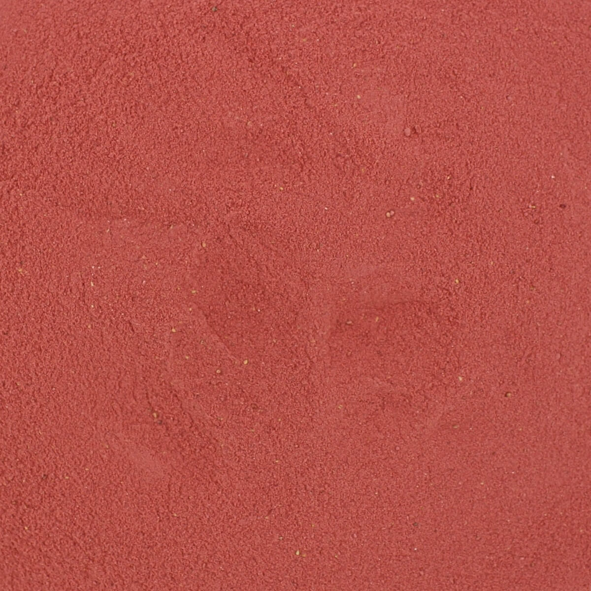 Harmony House Freeze Dried Strawberry Powder (4 Cups / 64 Tbs) - Image 2