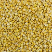 Harmony House Freeze Dried Super Sweet Corn (8 oz) - Image 2