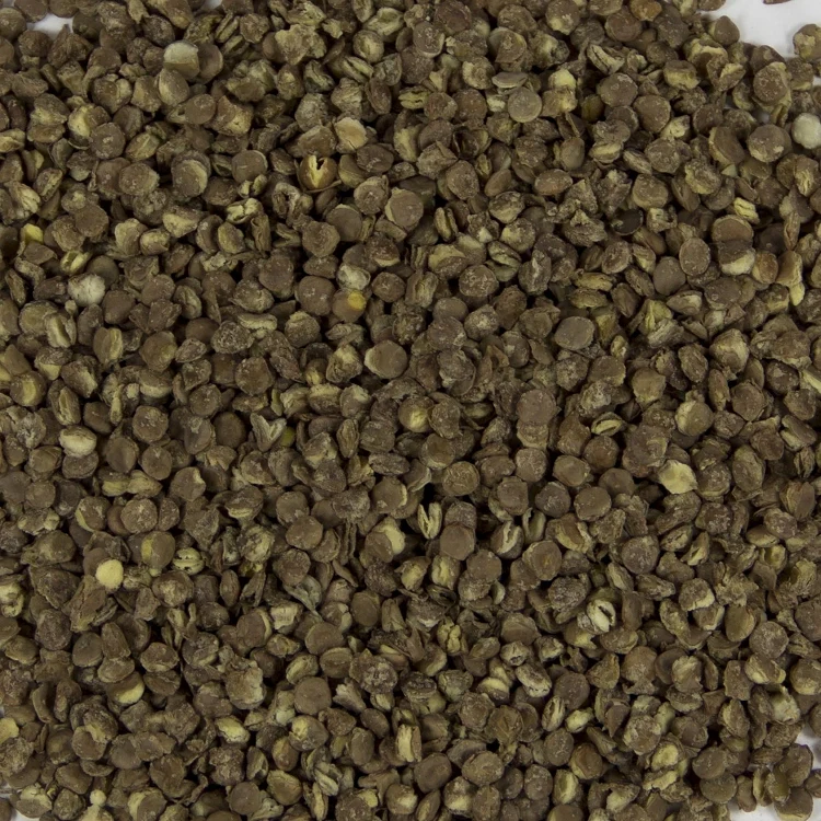 Harmony House Lentils (4 oz) - Image 2