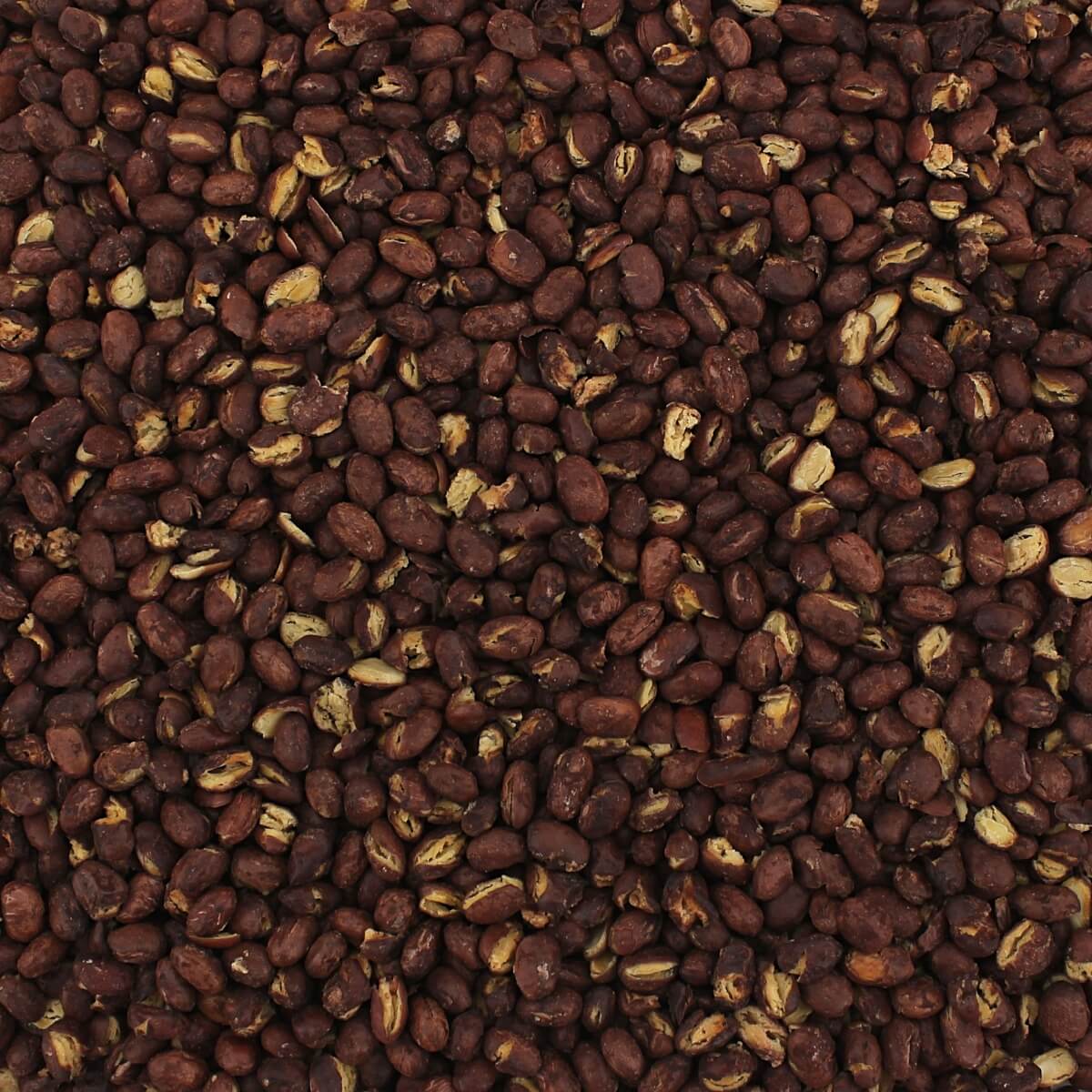 Harmony House Red Beans (16 oz) - Image 3