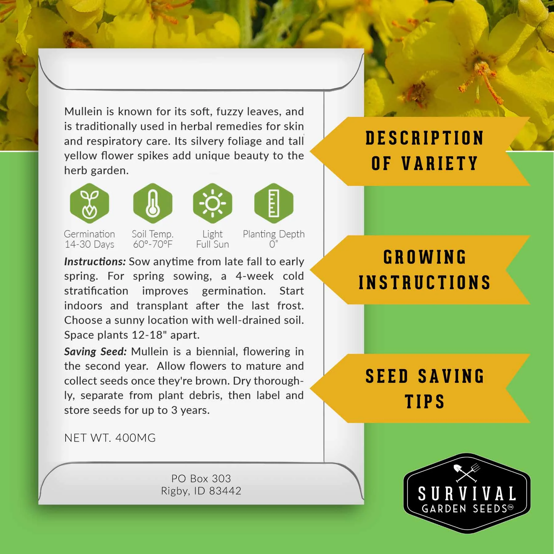 Herbalist Seed Bundle - 9 Important Medicinal Herbs - Image 2