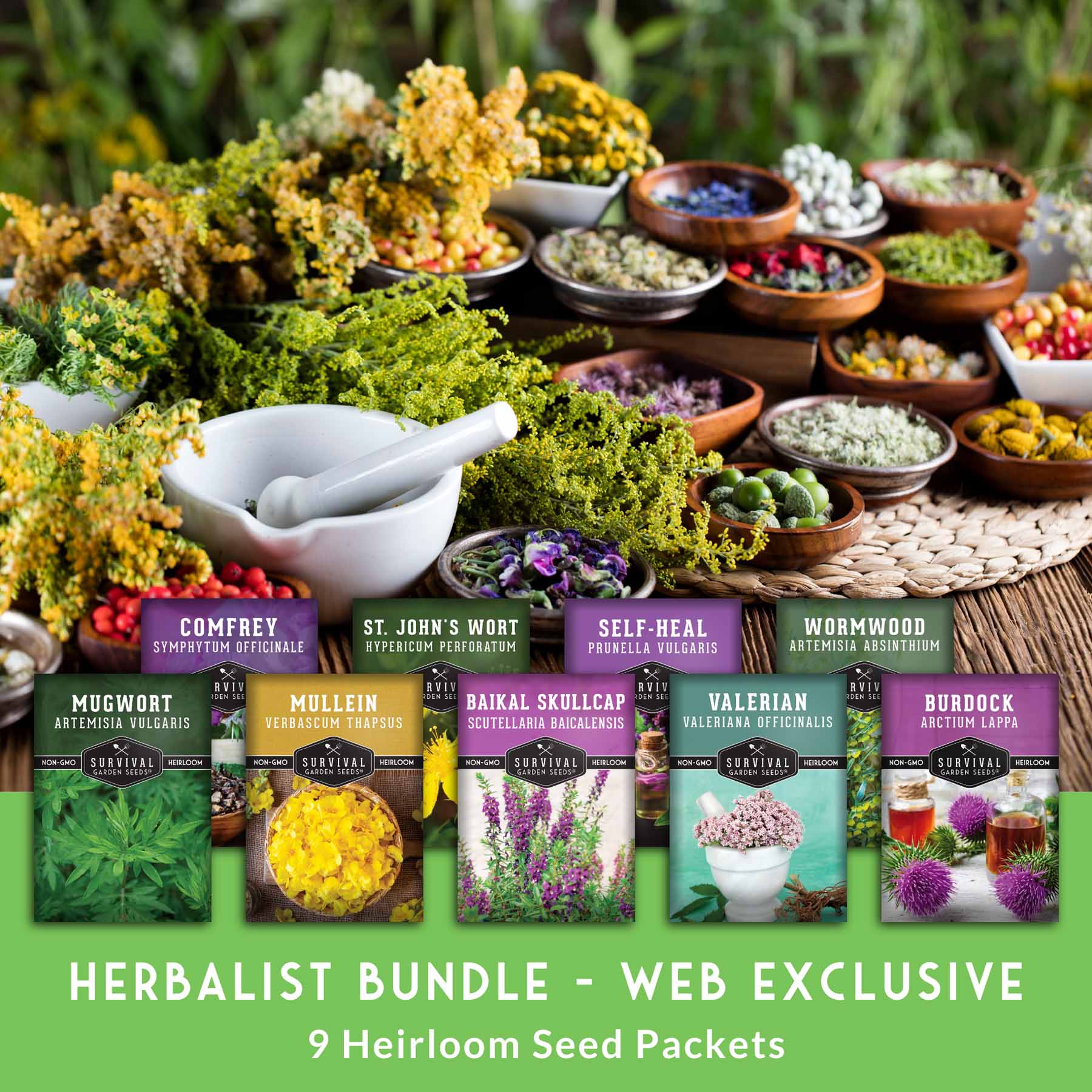 Herbalist Seed Bundle - 9 Important Medicinal Herbs - Image 3