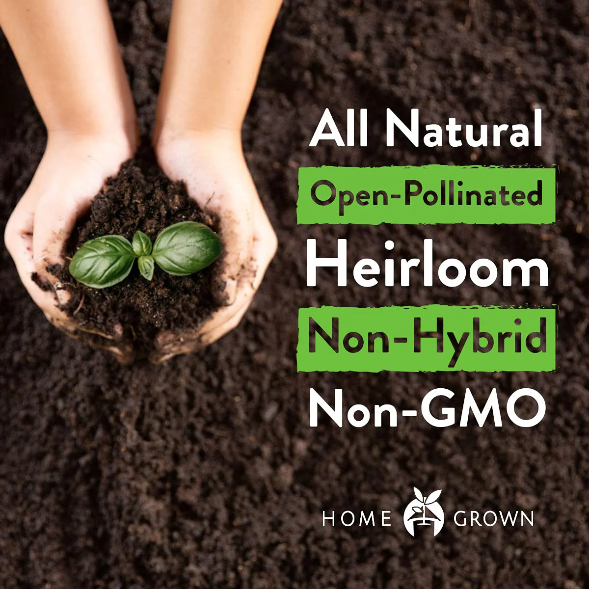 Home Grown 10 Culinary Herb Seeds Non-GMO, Heirloom Seeds - 3000+ Seeds for Planting for Outdoor or Indoor Planting - Image 3
