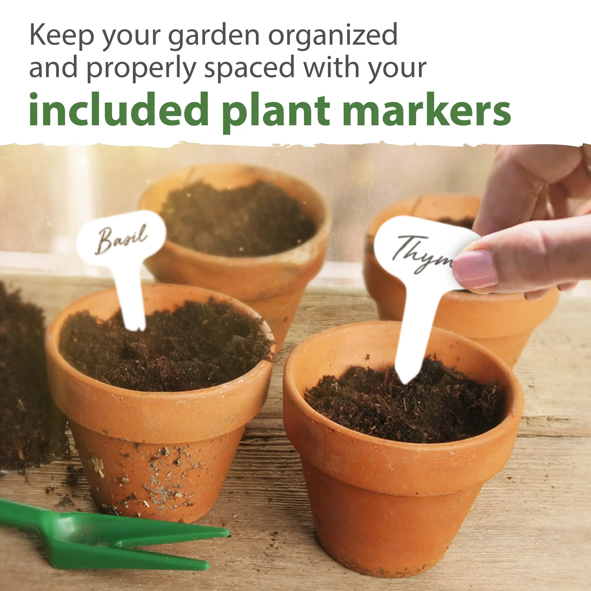 Home Grown 10 Culinary Herb Seeds Non-GMO, Heirloom Seeds - 3000+ Seeds for Planting for Outdoor or Indoor Planting - Image 5